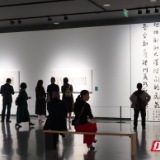 笔墨敬洞庭！“大湖佑我˙崔向君书画篆刻展”岳阳开展 159件佳作藏湖湘情