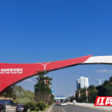 自贸五载 岳起新程丨优营商培元之基,构筑近悦远来强磁场