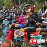 高手云集临湘  2025第三届“临湘浮标杯·金秋垂钓大赛”即将启幕