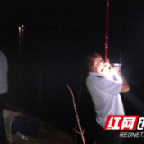 君山区农业农村局联合公安开展夜间禁渔执法专项行动