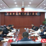 陈淼主持召开君山区政府党组（扩大）会议