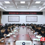 雷欣调研柳林洲城乡融合示范片区打造工作