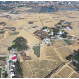 湘阴：冬闲建良田 保障粮食安全