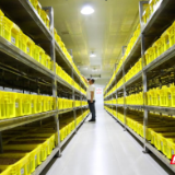 平江县加义镇无土种植天麻蹚出共富新路