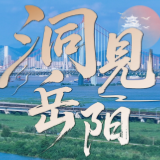 洞见岳阳丨宏观战略落地需微观实践发力