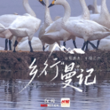 乡行“曼”记｜飞羽归处 被翅膀重新定义风景的东古湖