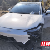 岳阳人保财险:移花接木藏猫腻 细致核查破骗局