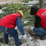 国网君山区供电公司：风雪中急赴现场，20分钟快修排险