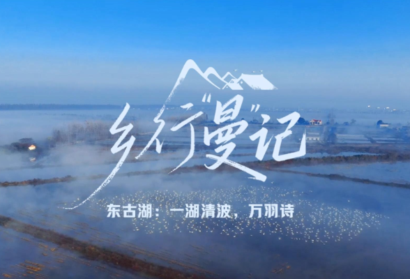 乡行“曼”记丨东古湖：一湖清波，万羽诗