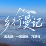 乡行“曼”记丨东古湖：一湖清波，万羽诗
