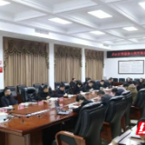 君山区召开粤港澳大湾区粮食保障供应链基地项目建设调度会