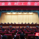 君山区委农村工作会议召开
