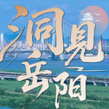 洞见岳阳丨胸怀良策赴盛会，肩负使命谋新篇