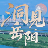 洞见岳阳丨“四链”协同聚合力，“四库”联动焕生机