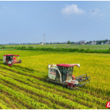 “屈原模式”出圈!院士团队+乡村CEO,这片田野生机勃勃