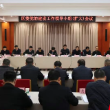 雷欣主持召开区委党的建设工作领导小组（扩大）会议