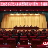 君山区群众身边不正之风和腐败问题集中整治工作调度推进会召开