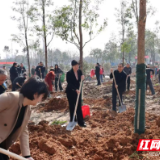 植绿添彩 共绘融合发展新画卷——君山区开展全民义务植树活动