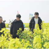 岳阳县：田间“把脉”促春管 油菜花开丰收望