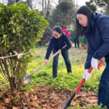 中国石化岳阳石油：植树增绿 维护生产性生物资产