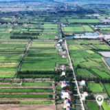 三十载改革破局,君山农垦国有地“焕新生”