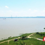 君山区华龙码头：从“砂石堆场”到“江豚的微笑”