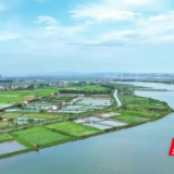 君山区：治理有温度，美丽乡村入画来