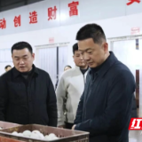 君山区委副书记、区长陈淼赴钱粮湖镇调研蛋鸭产业链发展工作