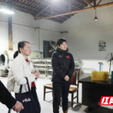 君山区委书记雷欣调研君山茶文旅融合发展工作