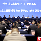 摘得“国际湿地城市”认证后，岳阳今年这样干