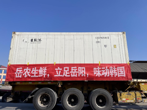 洞庭优品扬帆出海 国企赋能岳品出湘新征程 “岳农生鲜”首批供韩国订单启运
