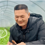 我在田埂画方圆③丨孙文：方寸之间 写好丰收的第一笔