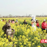 从“黄土漫天”到“城乡共融”：君山乡村变迁记