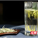 一叶银针越沧海 三十春秋香世界——君山建区三十载茶产业蝶变