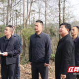 陈淼践行“四下基层”并调研林下经济产业