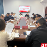 当低空技术遇上林业,岳阳这场座谈会“飞”出了新思路