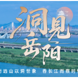 洞见岳阳丨“花样经济” 解锁乡村发展新路径