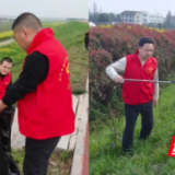 君山区开展“守护好一江碧水”志愿净堤净滩行动