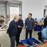 中国农村财经研究会乡村振兴产业研究专业委员会来岳调研