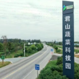 君山建区三十周年：岳阳有了首个“港澳菜园”，君山蔬菜凭实力“出圈”