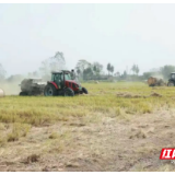 从“一把火”到“一捆金”——君山秸秆的“绿色转身”