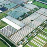 三十载耕新向绿 君山现代农业绘就共富新画卷——君山区建区30周年农业高质量发展纪实