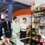 君山区委书记雷欣赴岳阳市创业就业赋能中心考察
