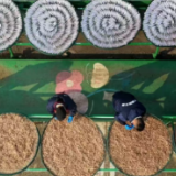 三十载“美颜”绘就君山乡村新画卷——君山区建区三十年农村人居环境整治变迁纪实