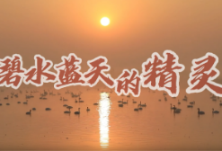 视频丨与理有岳·新思想青年说（第三辑）第十期：碧水蓝天的精灵