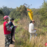 从边防尖兵到山林卫士——童强的守护之路