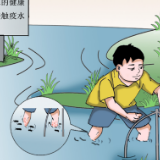 血吸虫病健康科普①丨远离 “潜伏杀手”  守护健康防线