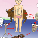 血吸虫病健康科普④丨血吸虫入侵路径、症状与防范全解析