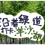 春假“趣”湘阴｜一条会生长的绿道，会带你去哪里？