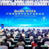 湖南省现代石化产业链协同发展合作对接会在岳阳举行